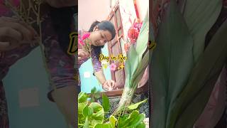 Daily life ✨ #shorts #viral #dailyvlog #lifestyle #inspiration #minivlog