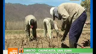 Vivo en Arg - San Juan - Calingasta - Cerro Alcázar - Producción - 07-06-13