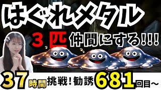 はぐれちゃんの配信のサムネイル画像