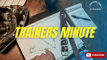 Trainers Minute: Gun dog/Hunting dog DIY Force Fetch Tool