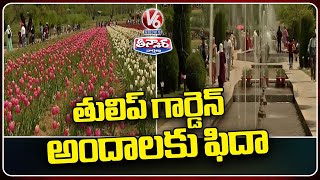 Asia's Largest Tulip Garden In Jammu and Kashmir Attracts Tourists | V6 Weekend Teenmaar