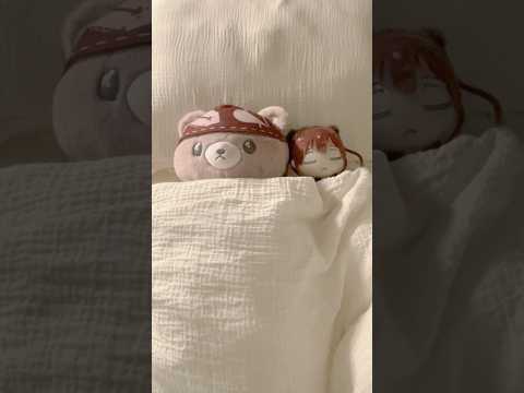 クマリンのラブラブナイトルーティーン🐻💕💤#short