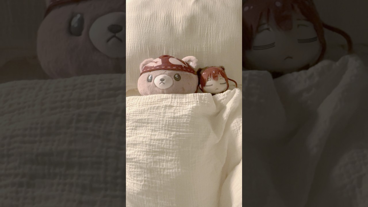 クマリンのラブラブナイトルーティーン🐻💕💤#short