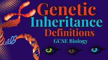GENETIC INHERITANCE GCSE BIOLOGY/PAPER 2 GCSE BIOLOGY