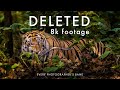 How To Recover Lost Data - I Accidentally DELETED Rare 8K Wildlife Footage | Canon R5