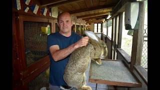 Visite d'un élevage de lapin cher M. Chassagny Olivier