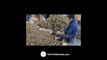 TC Tube&clamp scaffolding system video