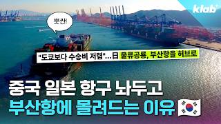 전 세계 배들이 몰려온다고? 세계 2위 환적항 된 부산항 근황｜크랩
