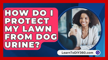 How Do I Protect My Lawn From Dog Urine? - LearnToDIY360.com