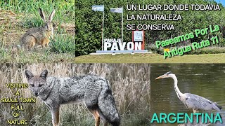 Argentina Virtual Tour | Paraje Pavon Un Pueblo Poco Conocido En General Lavalle. La Antigua Ruta 11