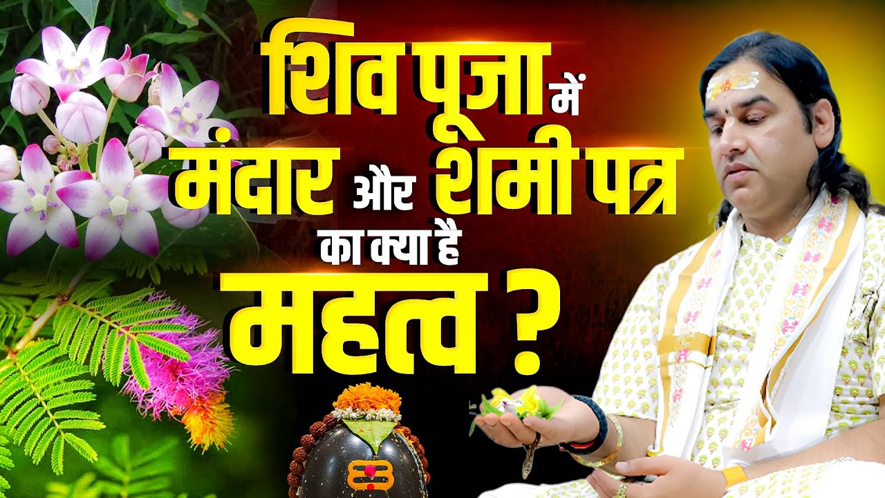 शिव पूजा में मंदार और शमी पत्र का रहस्य | Shri Devkinandan Thakur Ji Maharaj