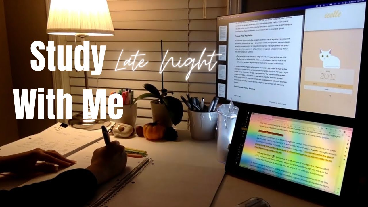 1 hour Study With Me Real-Time Pomodoro, fireplace sound + background noise, no music