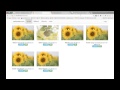 Download WEB.24 โปรแกรมแสดงรายละเอียดสินค้า php+bootstrap ตอนที่ 1 WEB.24 โปรแกรมแสดงรายละเอียดสินค้า php+bootstrap ตอนที่ 1
