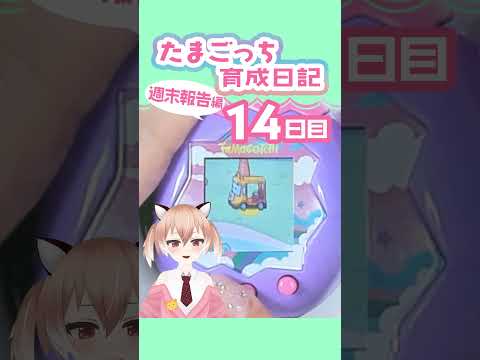 【#たまごっち】更地になったフィールドにゆうぐを再設置！ #tamagotchi #Vtuber #shorts