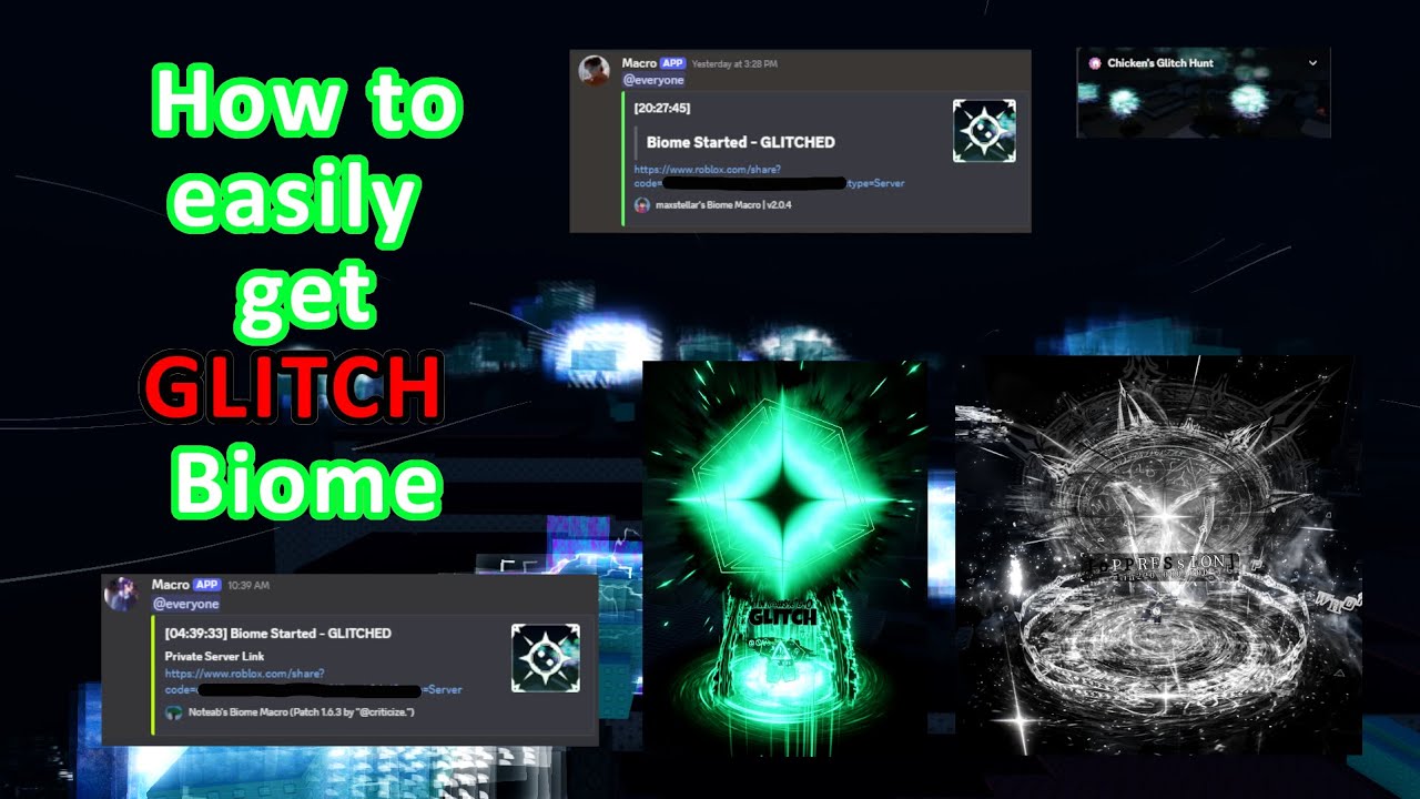 Chicken Exploit How to get Macro verified in Chickens Glitch Hunt - YouTube