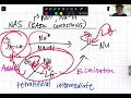 UC Davis CHE 118C Summer Session I 2025 Week 1 (Lievens)