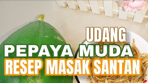 RESEP UDANG PEPAYA MUDA MASAK SANTAN KHAS NUSANTARA