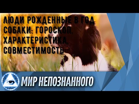 Люди рожденные в год Собаки: гороскоп, характеристика, совместимость