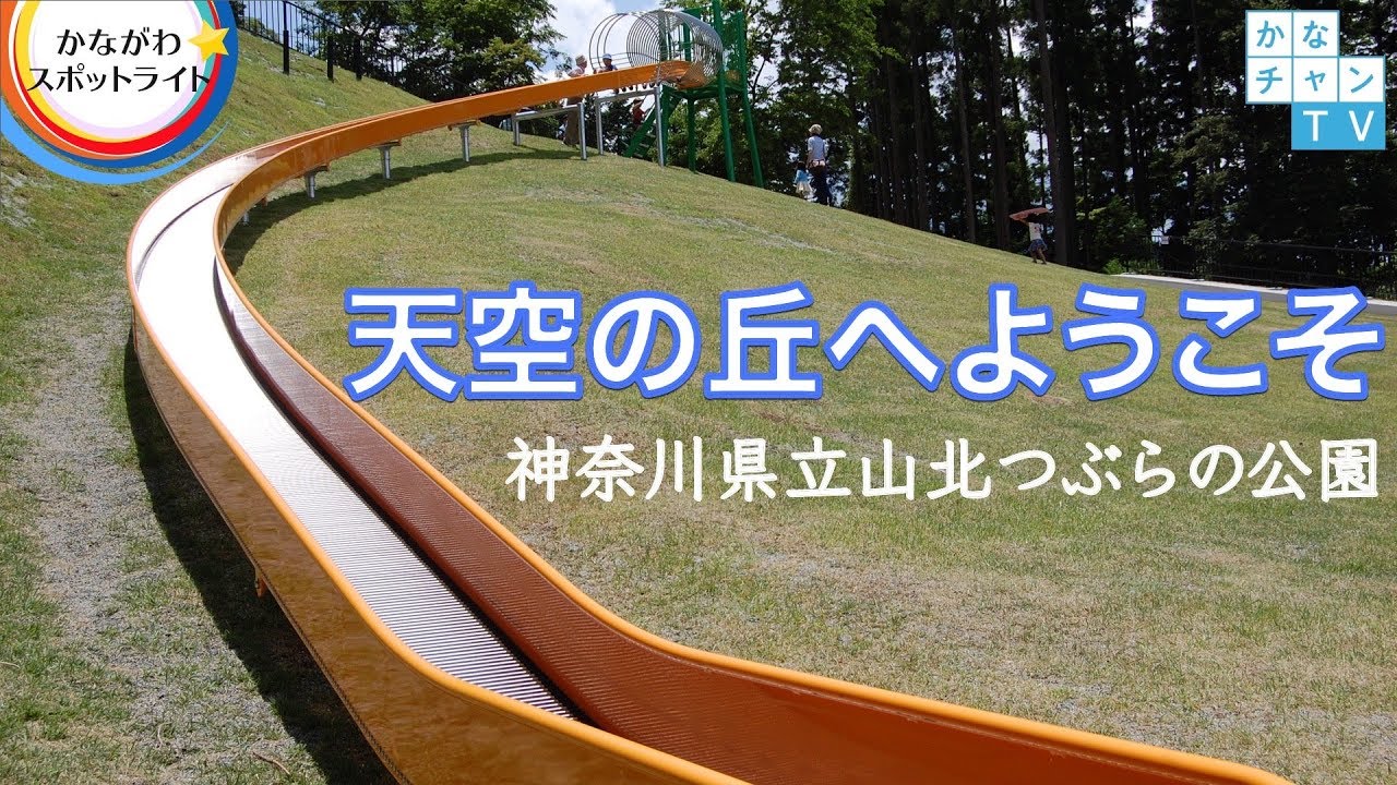 天空の丘へようこそ　県立山北つぶらの公園<br>（提供：神奈川県県西土木事務所道路都市課）