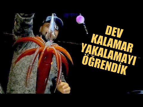 Gece Dev Kalamar Yakalamanın Yolunu Bulduk !! / Night Squid Fishing