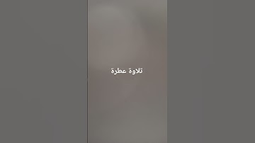 تلاوة عطرة #القرآن_الكريم #راحة_نفسية #صلوا_على_النبي