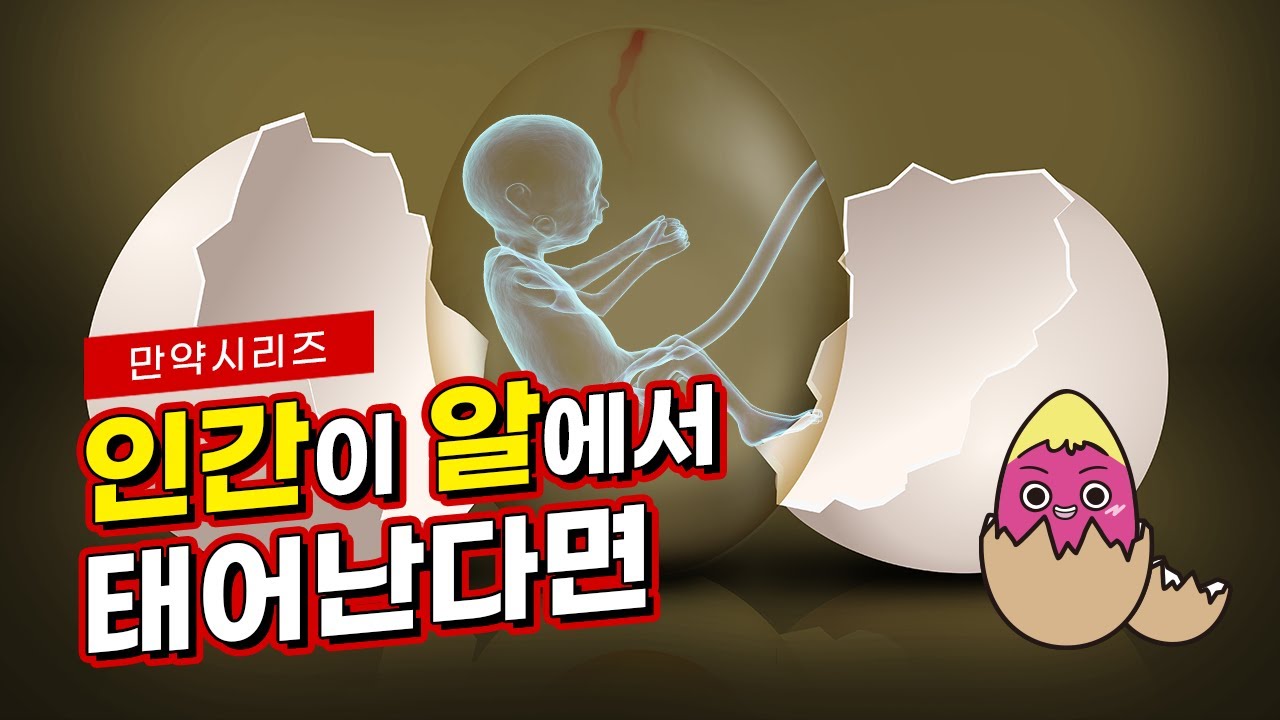 ? 만약 인간이 알에서 태어난다면 무슨 일이 일어날까? (feat. 박혁거세)