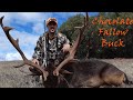 Fallow Deer Hunting Australia, Chocolate Buck Kill Shot, Ruger American Go Wild 308 win, Stag Hunter