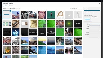How to Create Video Portfolio website with Pinecone WordPress Theme