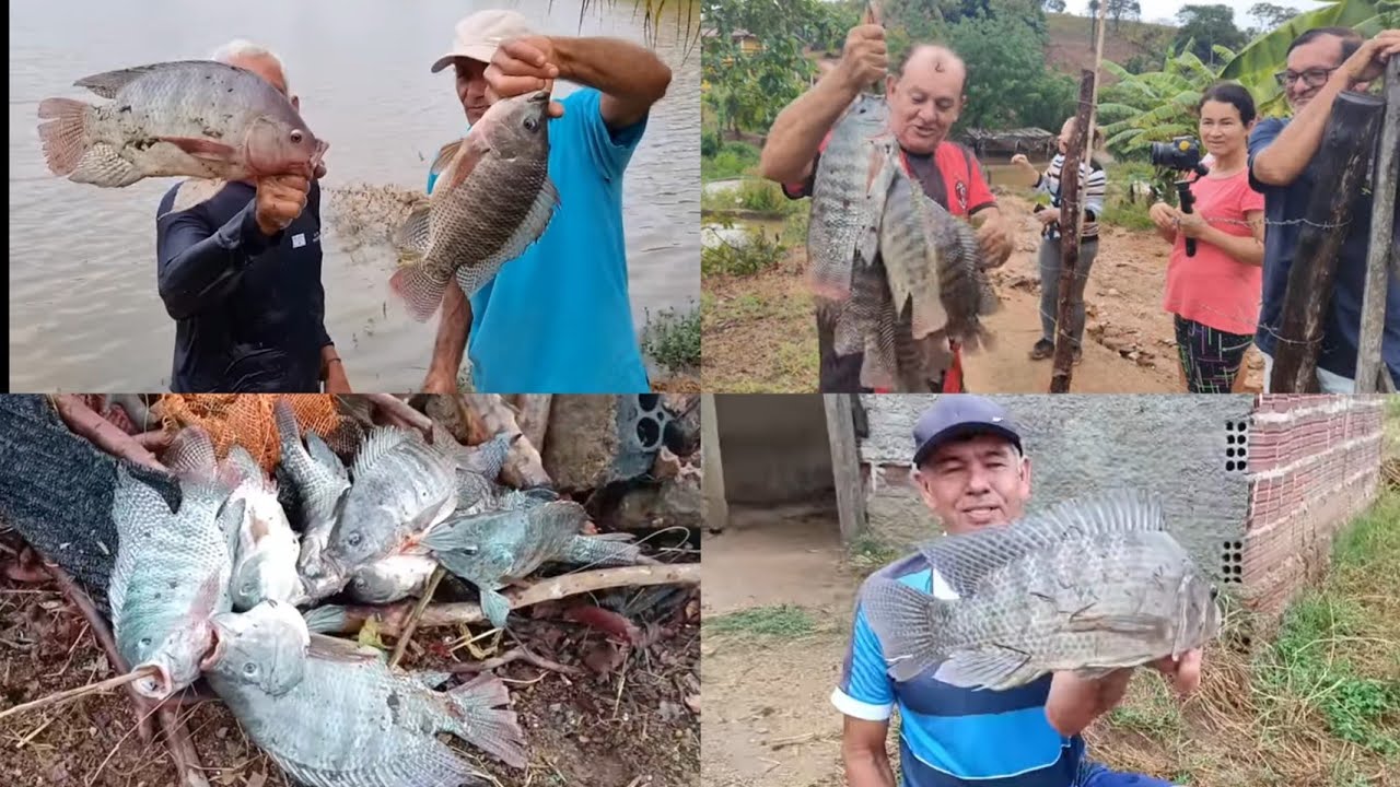 FARTURA DE PEIXES NA LAGOA DEPOIS DAS FORTES CHUVAS DESCEU MUITOS PEIXES TODOS FORAM PESCA