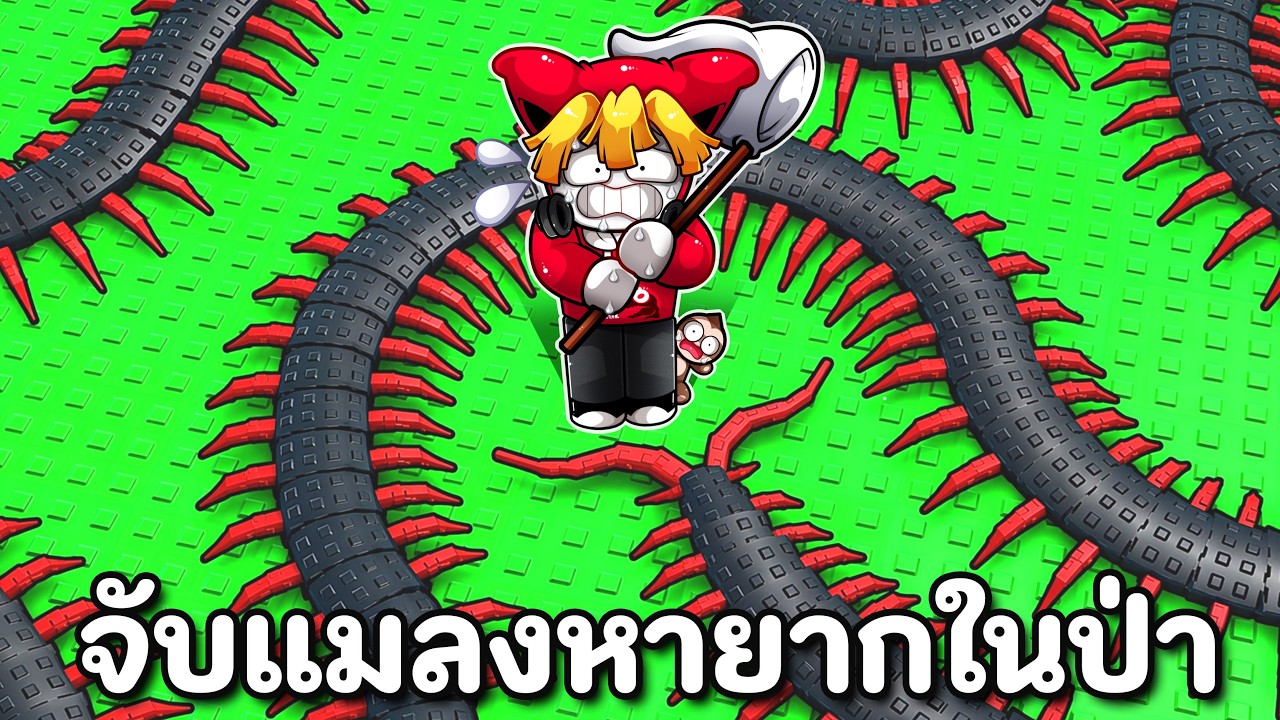 ชวนเพื่อนจับแมลงในป่าหน้าร้อน เจอแมลงหายาก!!