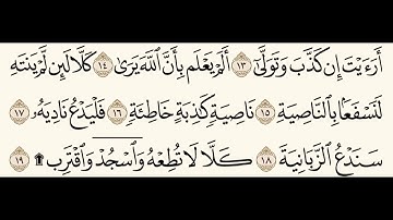 سورة العلق (١٢-١٩) للشيخ المقرئ عبدالقادر العثمان ..