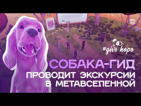 🐶Как NPC-гид привлекает внимание к благотворительному проекту Teo Shelter | Кейс Maff