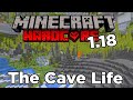 Minecraft 118 hardcore survival  ep 1  cave life below zero