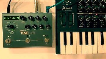 Ambient, Strymon TimeLine, Arturia MicroBrute