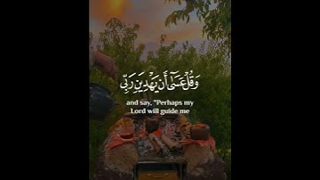 ﴿وَاذْكُر رَّبَّكَ إِذَا نَسِيت ﴾ #راحة_نفسية  [ الكهف: 23-24]  🎧 القارئ: محمد صديق المنشاوي