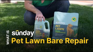 What is Sunday Pet Lawn Repair