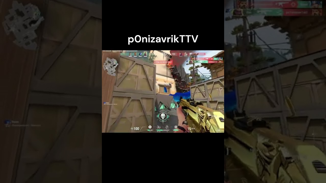 🐱‍👤VALORANT(1VS5)