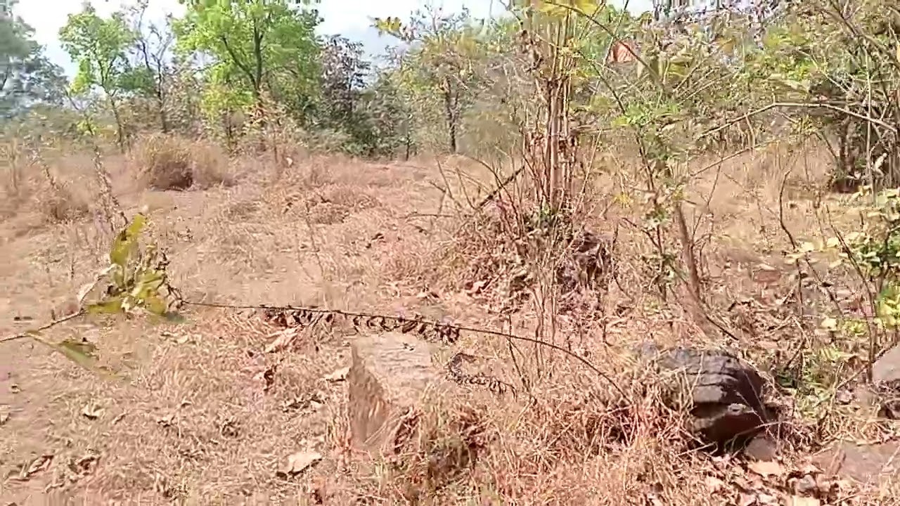 तालुका महाड जिल्हा रायगड क्षेत्र 47 एकर रिसेल प्रोपटी पर एकर रेट 5 लाख 9145025506