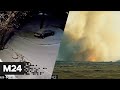 Мощное землетрясение на Байкале. Ракета Илона Маска взорвалась при испытательном полете - Москва 24
