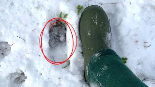 Tracking a BIG but OLD Maine Buck Track In Snow & Catching Up To The Buck | Allagash Big Woods Bucks