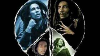 bob marley tribute