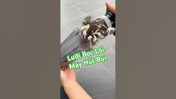 Lưỡi Bọc Lõi Lọc Máy Hút Bụi túi 100 chiếc #thutiensinh  #review