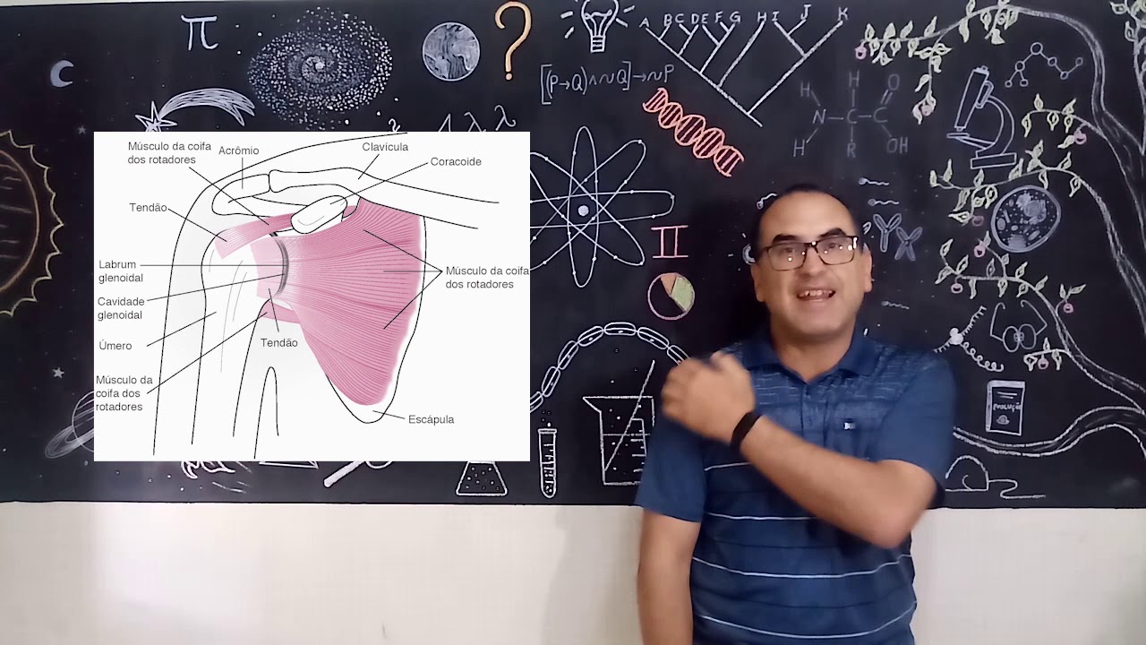 Propriocepção