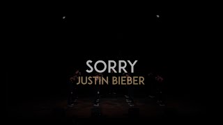 Sorry (Justin Bieber) - The Vanderbilt Melodores - Meloroo 2016 chords