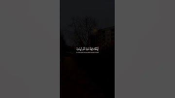 أَئِفكًا آلِهَةً دونَ اللَّهِ تُريدونَ | محمد صديق المنشاوي | سورة الصافات