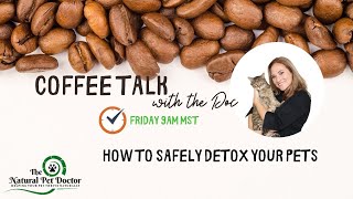 How To Safely Detox Your Pets