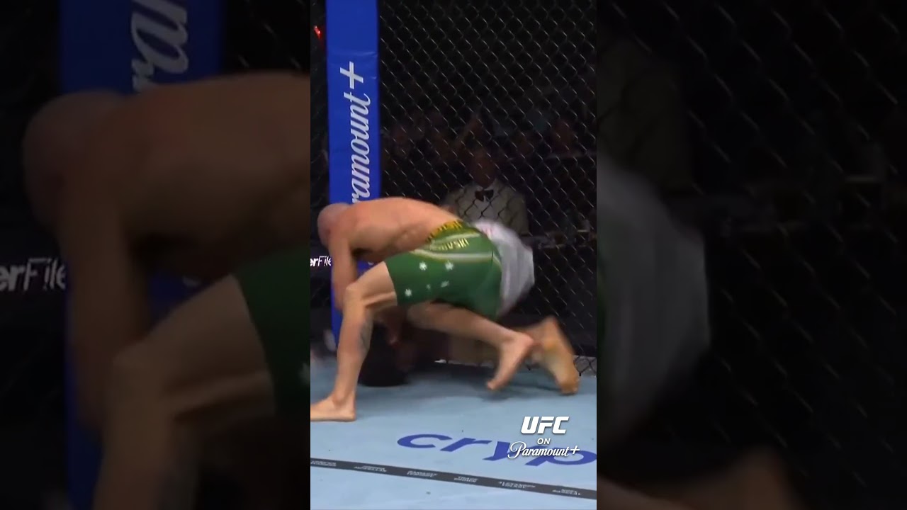 Alexander Volkanovski HURTS Movsar Evloev in Round 2! 👊💥 #UFC333 #UFC #UFCIndia