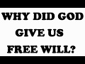 Why did God give us free will?