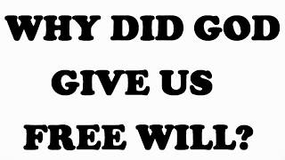 Why did God give us free will?