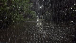 Chill Rain & Thunder Sounds for Sleeping | Heavy Rain for Sleep, Study, Meditation by Relaxing Ambience ASMR 9,311 views 5 months ago 9 hours, 1 minute
